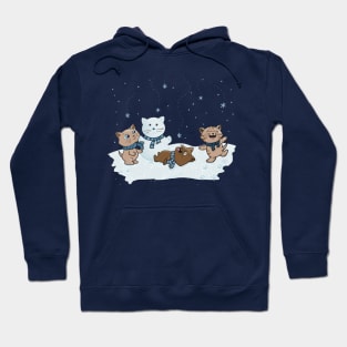 Cats Playing in Snow Hoodie